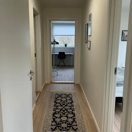 The Butterfly - House In For 7 Persons With Luxury Rooftop Deck & Free Parking Apartamento Odense