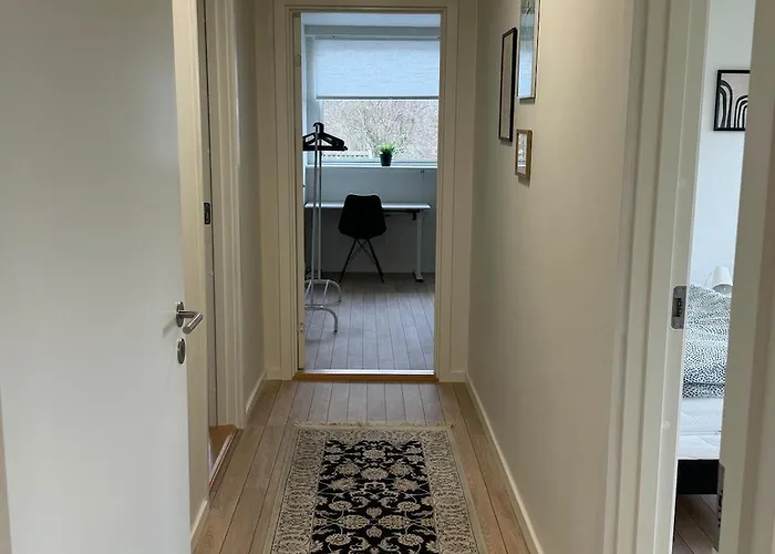 The Butterfly - House In For 7 Persons With Luxury Rooftop Deck & Free Parking Lejlighed Odense